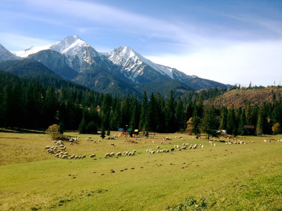 Hotel Magura Ždiar Buitenkant foto